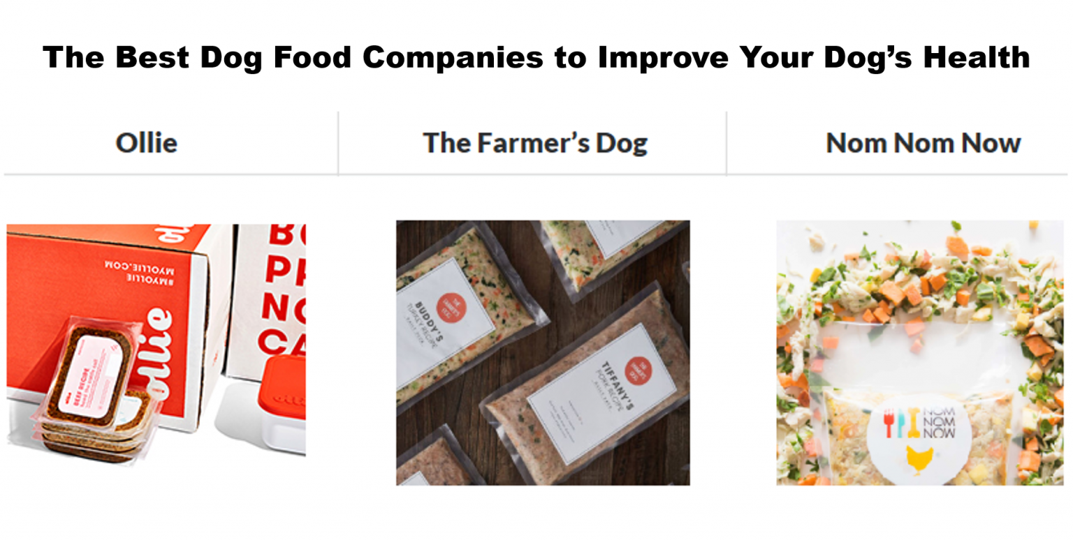 New Evidence Connects GrainFree Diets with Canine Heart Disease. Here's How To Avoid Harmful