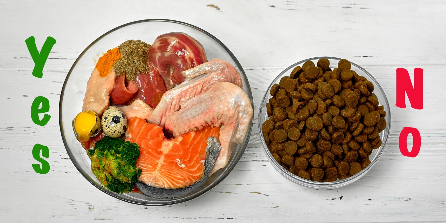 The Ugly Truth About Kibble & What To Feed Your Dog Instead Insider Envy