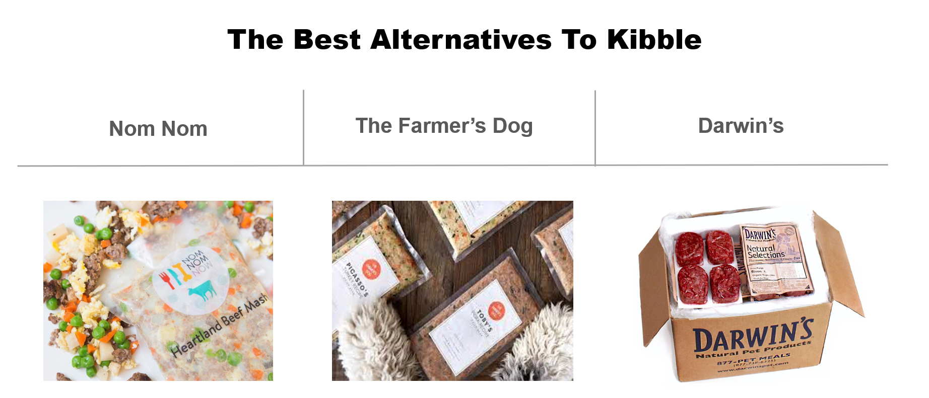 The Ugly Truth About Kibble & What To Feed Your Dog Instead Insider Envy