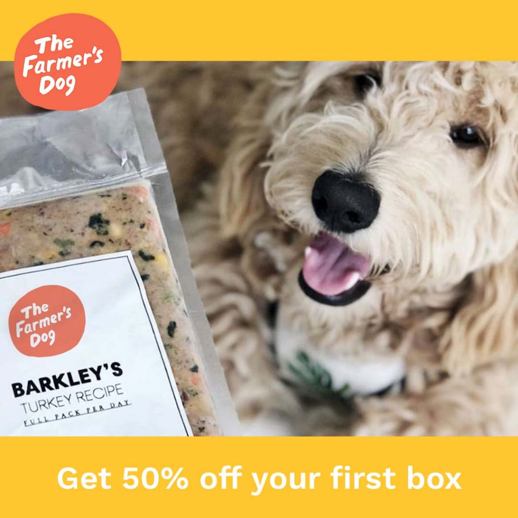 Can't find the right dog food? Here's why you should try The Farmer's
