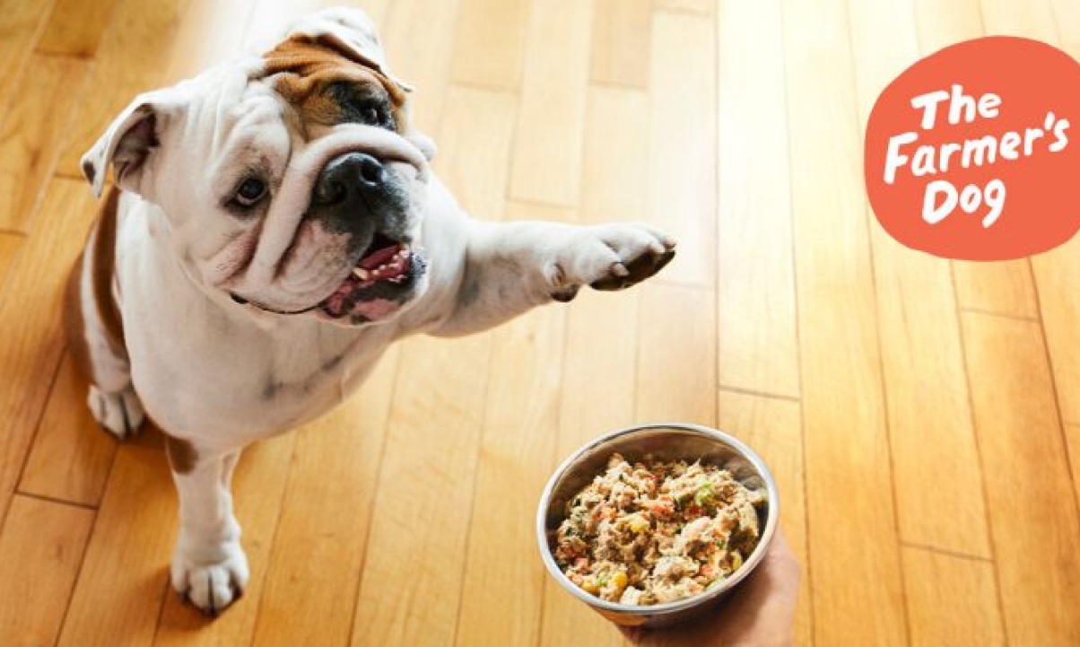 Can’t find the right dog food? Here’s why you should try The Farmer’s