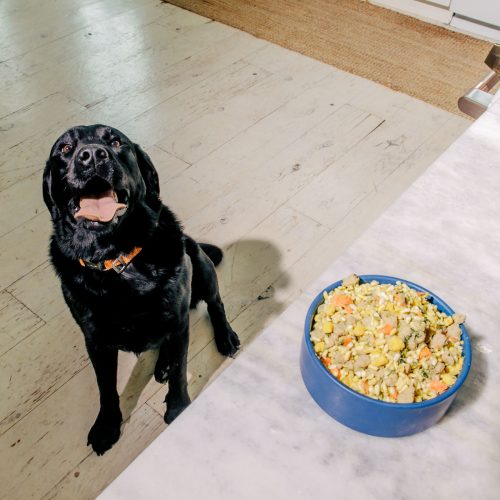 Copy of nomnomnashville-968